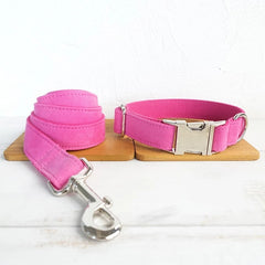 Dog collar leash collar