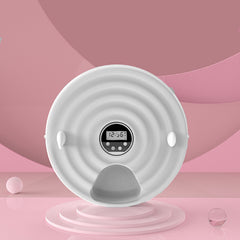 Timed And Quantitative Intelligent Feeder Cat Food Self-Feeding Machine