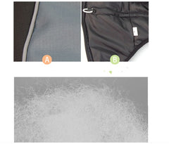 Medium-Sized Dog Autumn and Winter Clothing Labrador Biped