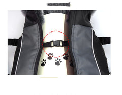 Medium-Sized Dog Autumn and Winter Clothing Labrador Biped