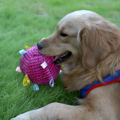 Dog Training Soft Ball Cloth Ball Ringing Dogs And Cats Pets Toy Ball Pet Products