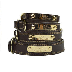 Pet lettering dog collar medium dog large dog neck collar collar collar